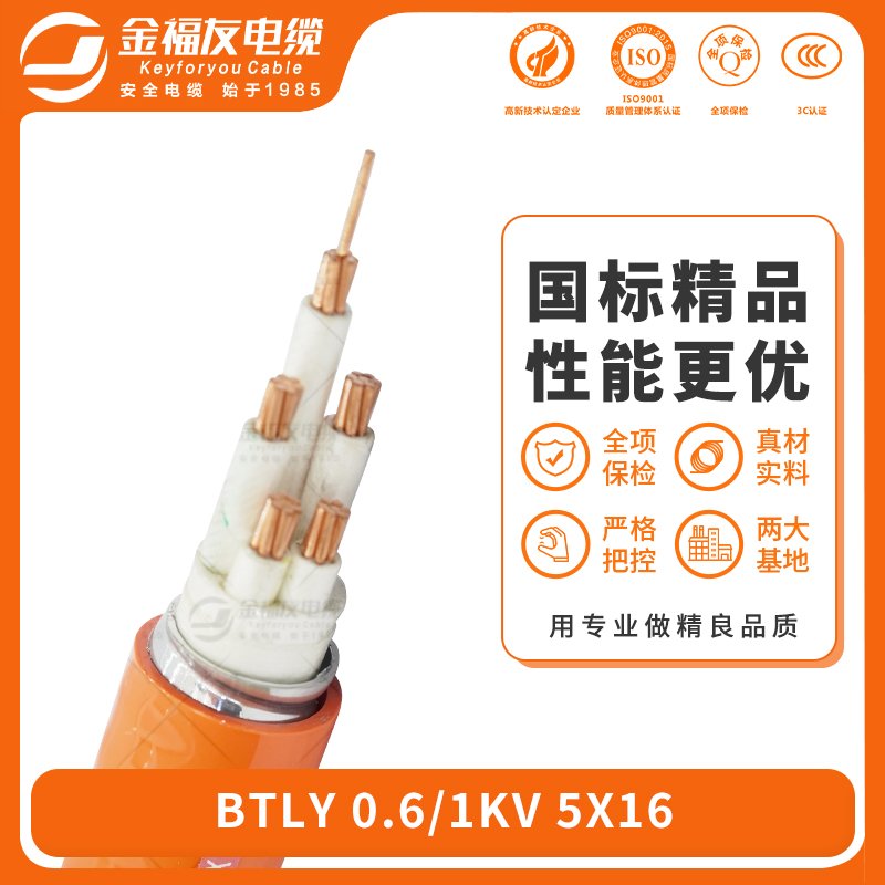 金福友產品-6.19-BTLY-0.6-1kV-5X16