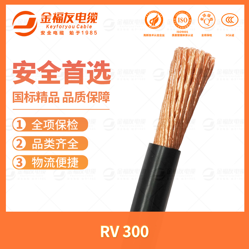 金福友產品-7.11-RV-300