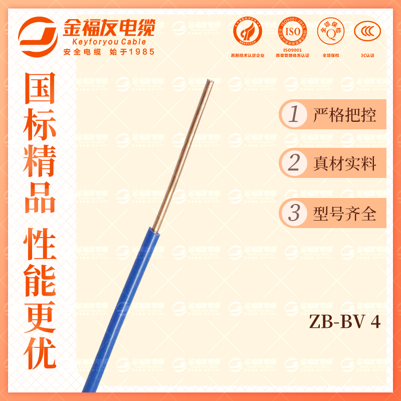 金福友產(chǎn)品-10.9-ZB-BV-4